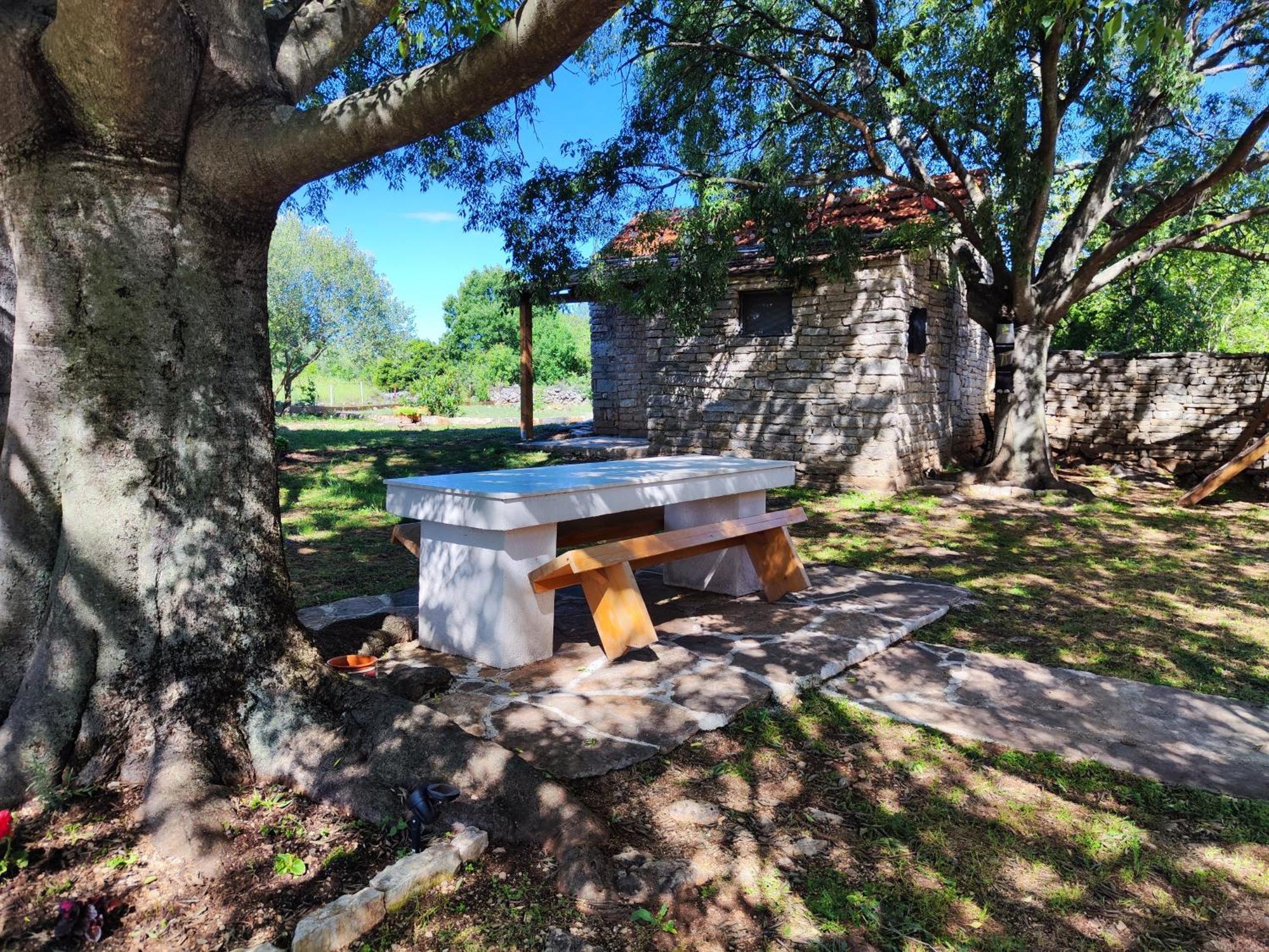 Kuca Dida Jure Villa Pridraga Exterior photo